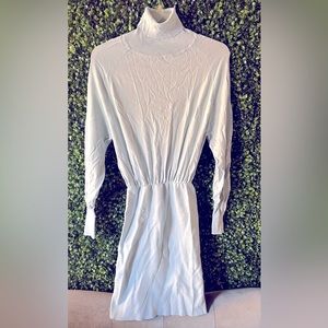Fashion Nova powder blue turtleneck long sleeve sweater dress